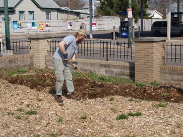 Urban gardener in east Dayton